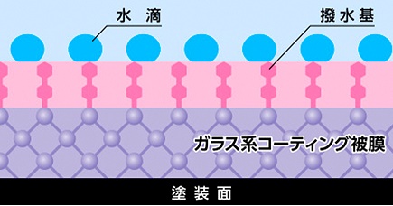 ガラス被膜＋撥水基